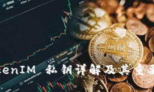TokenIM 私钥详解及其重要性