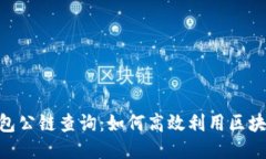Tokenim钱包公链查询：如何高效利用区块链查询工