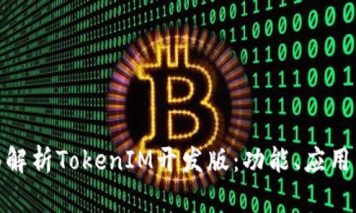 : 全面解析TokenIM开发版：功能、应用与优势