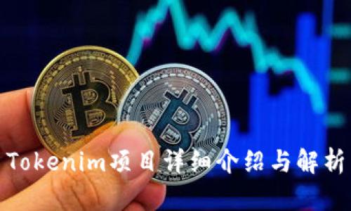 Tokenim项目详细介绍与解析
