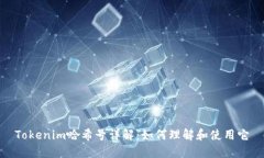 Tokenim哈希号详解：如何理解和使用它