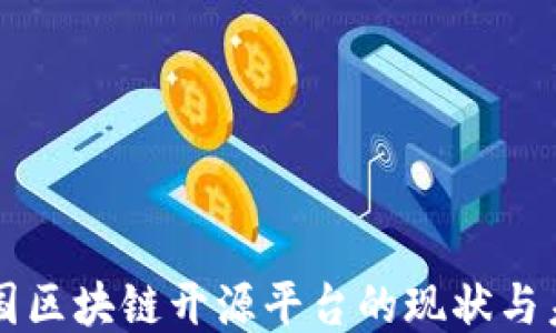 
美国区块链开源平台的现状与未来