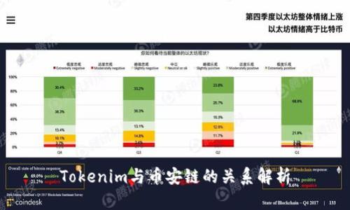 Tokenim与币安链的关系解析