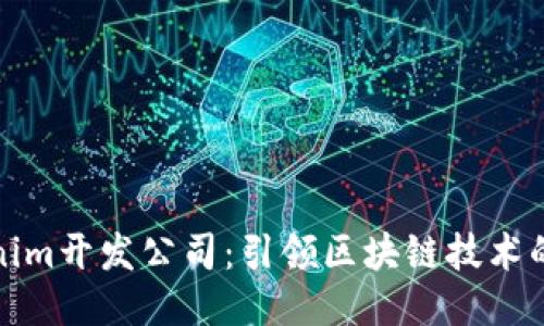 Tokenim开发公司：引领区块链技术的未来