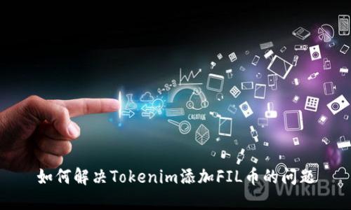 如何解决Tokenim添加FIL币的问题