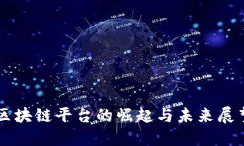 区块链平台的崛起与未来展望