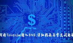如何将Tokenim转入BNS：详细指南与常见问题解答