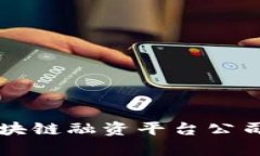 陕西省区块链融资平台公司全景分析