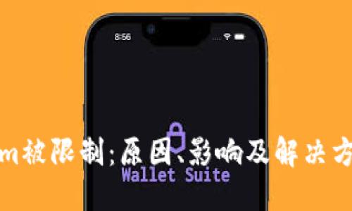Tokenim被限制：原因、影响及解决方案详解
