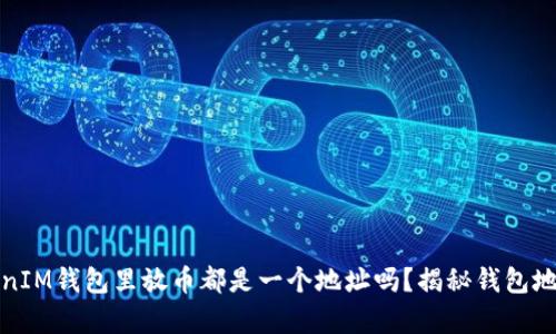 : 往TokenIM钱包里放币都是一个地址吗？揭秘钱包地址的真相