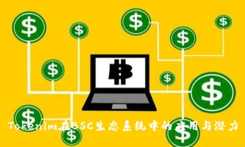 Tokenim在BSC生态系统中的应用与潜力