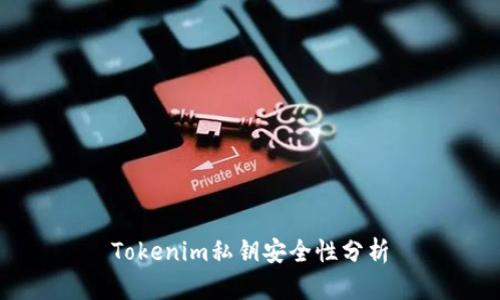 Tokenim私钥安全性分析
