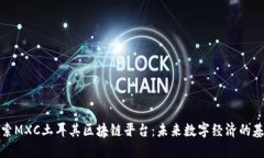 探索MXC土耳其区块链平台：未来数字经济的基石
