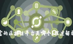 : 最暴富的区块链平台是哪个？深度解析与比较