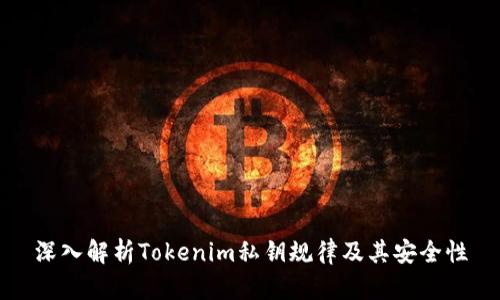深入解析Tokenim私钥规律及其安全性