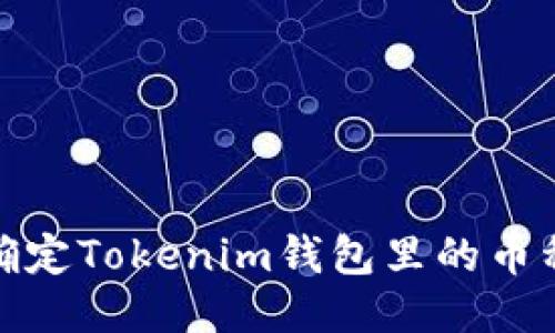: 如何确定Tokenim钱包里的币种与余额