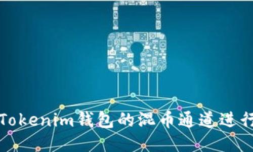 如何使用Tokenim钱包的混币通道进行隐私保护