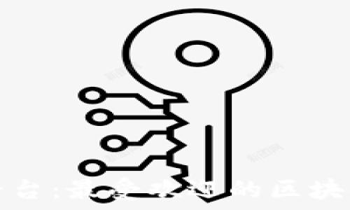  
探索区块链平台：最受欢迎的区块链技术提供商