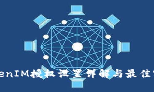 TokenIM授权设置详解与最佳实践