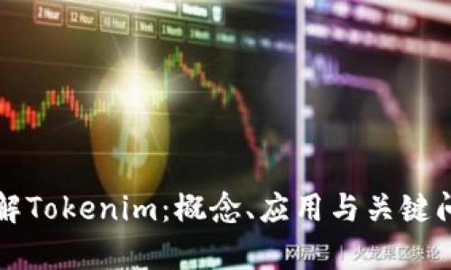 深入了解Tokenim：概念、应用与关键问题分析
